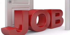 job search
