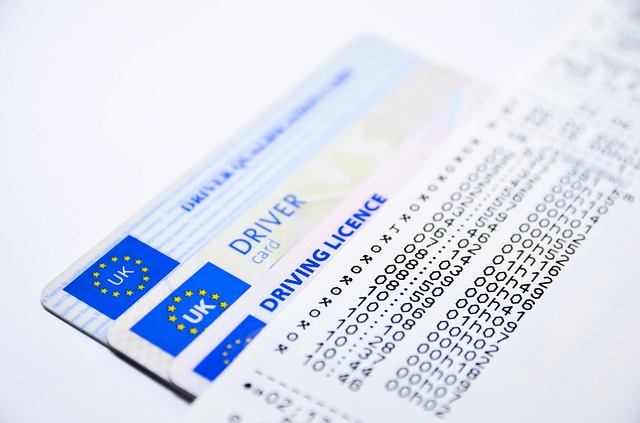 driving license test